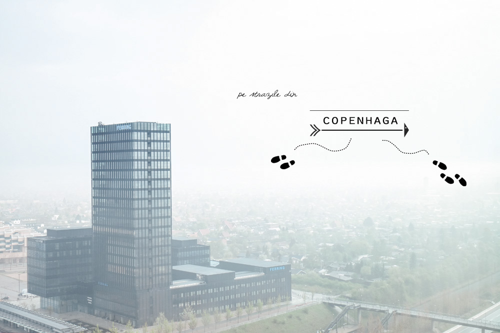 copenhaga-01