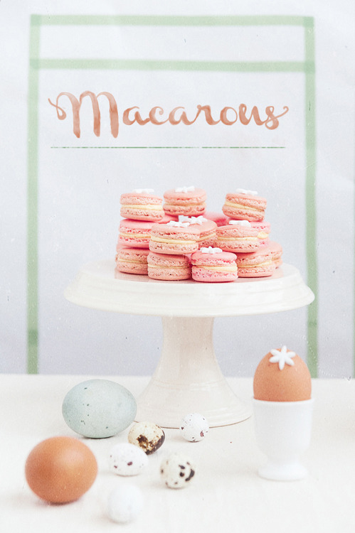 macarons-primavara-07