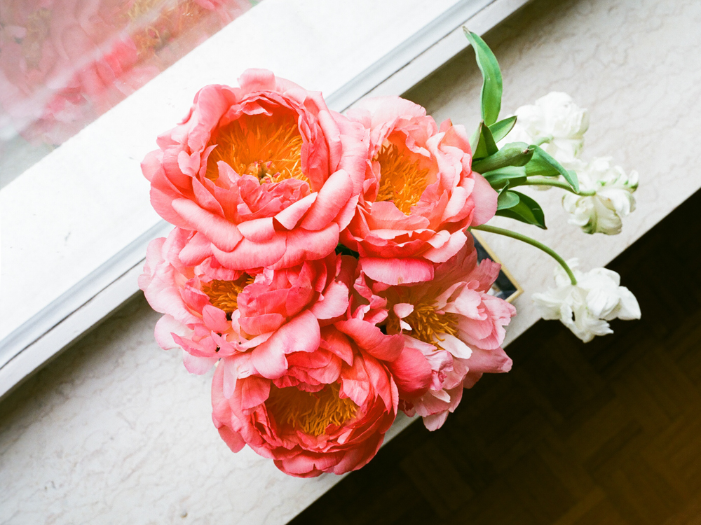 peonies-022